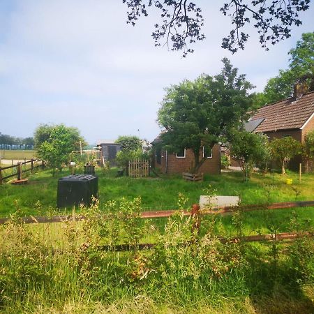 Trekkershut - Tiny House - Hikers Cottage Wijster Экстерьер фото