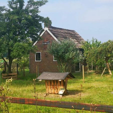 Trekkershut - Tiny House - Hikers Cottage Wijster Экстерьер фото